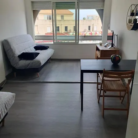 Les Floralies 2 4 Personnes Climatise, Piscine Dans La Et Parking Prive Disponible Apartament