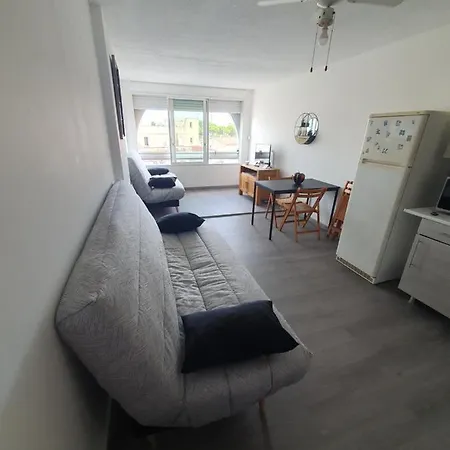 Les Floralies 2 4 Personnes Climatise, Piscine Dans La Et Parking Prive Disponible Apartament *