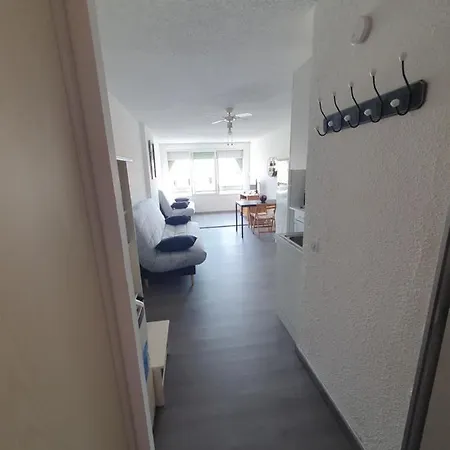 Les Floralies 2 4 Personnes Climatise, Piscine Dans La Et Parking Prive Disponible Apartament Le Grau-du-Roi