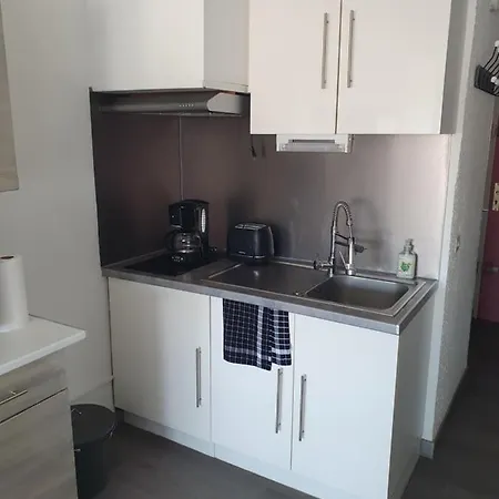 Apartament Les Floralies 2 4 Personnes Climatise, Piscine Dans La Et Parking Prive Disponible