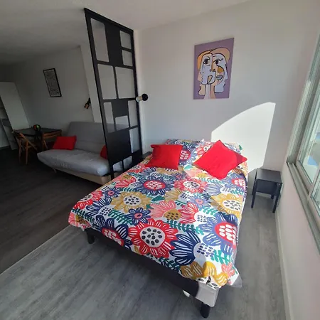 Les Floralies 2 4 Personnes Climatise, Piscine Dans La Et Parking Prive Disponible Apartamento