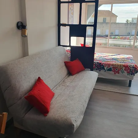 Les Floralies 2 4 Personnes Climatise, Piscine Dans La Et Parking Prive Disponible