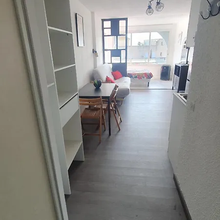 Les Floralies 2 4 Personnes Climatise, Piscine Dans La Et Parking Prive Disponible Apartamento Le Grau-du-Roi