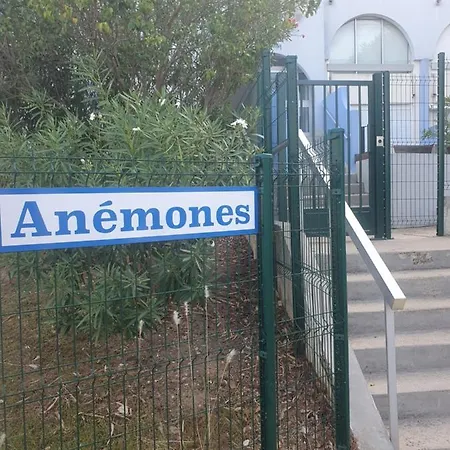 Appartement Les Floralies 2 4 Personnes Climatise, Piscine Dans La Et Parking Prive Disponible
