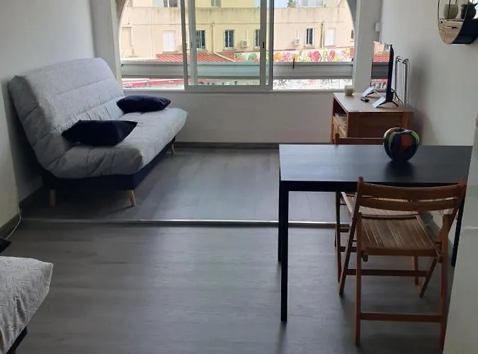 Les Floralies 2 4 Personnes Climatise, Piscine Dans La Et Parking Prive Disponible Apartamento