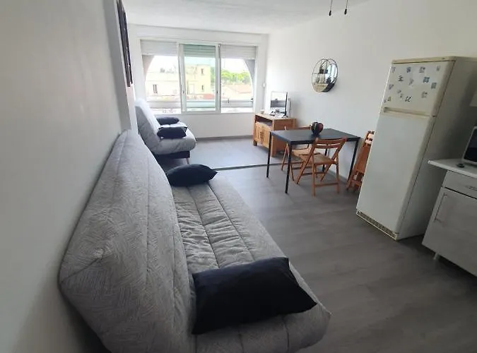 Les Floralies 2 4 Personnes Climatise, Piscine Dans La Et Parking Prive Disponible Apartamento *