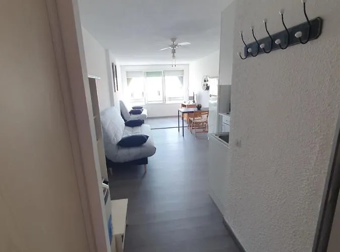 Les Floralies 2 4 Personnes Climatise, Piscine Dans La Et Parking Prive Disponible Apartamento Le Grau-du-Roi