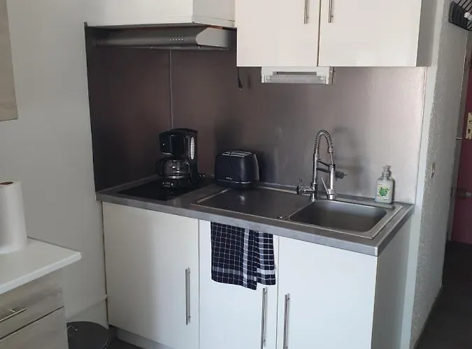 Apartamento Les Floralies 2 4 Personnes Climatise, Piscine Dans La Et Parking Prive Disponible