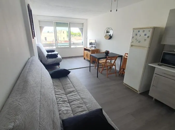 Les Floralies 2 4 Personnes Climatise, Piscine Dans La Et Parking Prive Disponible Apartamento