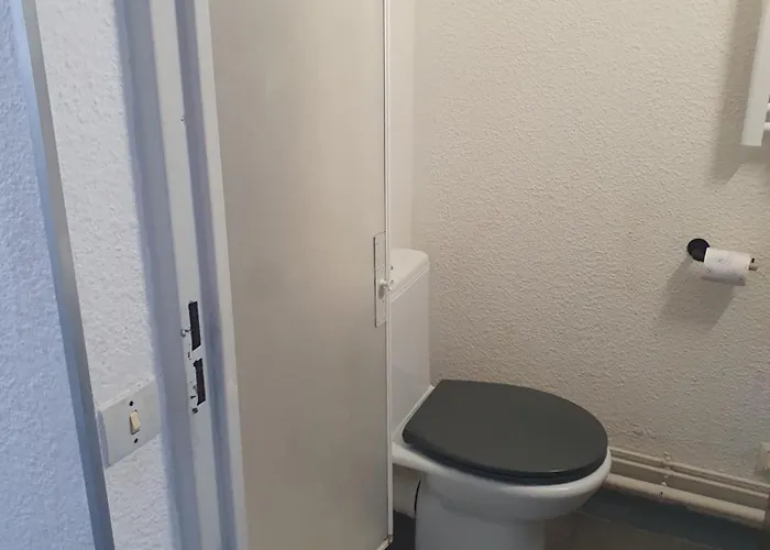 Les Floralies 2 4 Personnes Climatise, Piscine Dans La Et Parking Prive Disponible Apartamento *