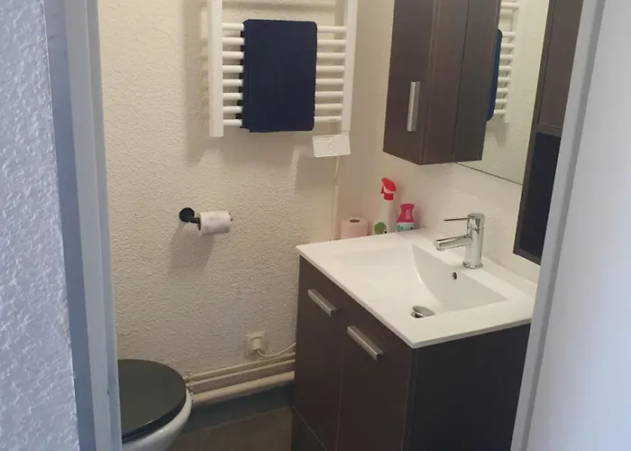 Apartamento Les Floralies 2 4 Personnes Climatise, Piscine Dans La Et Parking Prive Disponible Le Grau-du-Roi