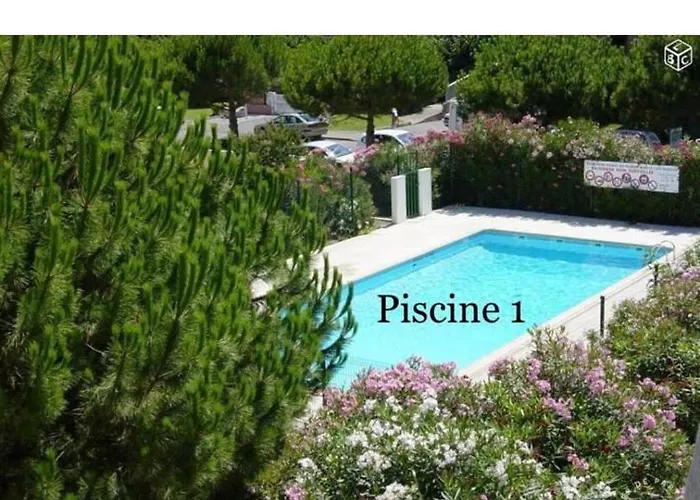 Апартаменты Les Floralies 2 4 Personnes Climatise, Piscine Dans La Et Parking Prive Disponible