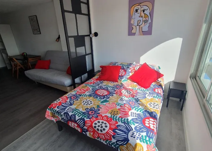 Les Floralies 2 4 Personnes Climatise, Piscine Dans La Et Parking Prive Disponible Апартаменты