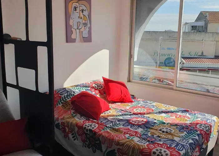 Les Floralies 2 4 Personnes Climatise, Piscine Dans La Et Parking Prive Disponible * Ле-Гро-дю-Руа
