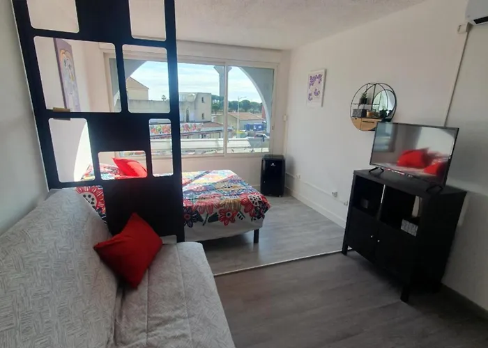 Les Floralies 2 4 Personnes Climatise, Piscine Dans La Et Parking Prive Disponible